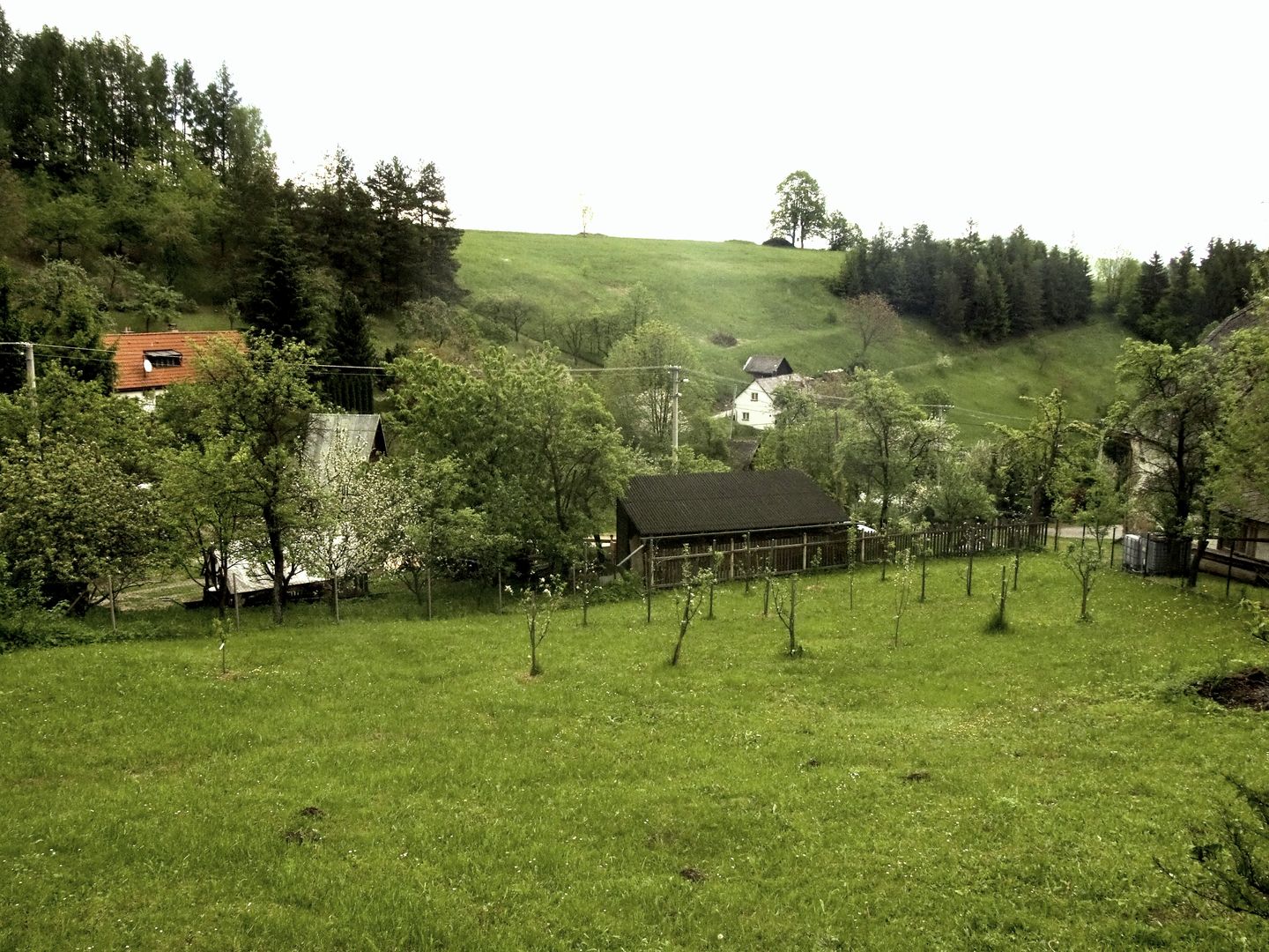 Pohled na zahradu z terasy